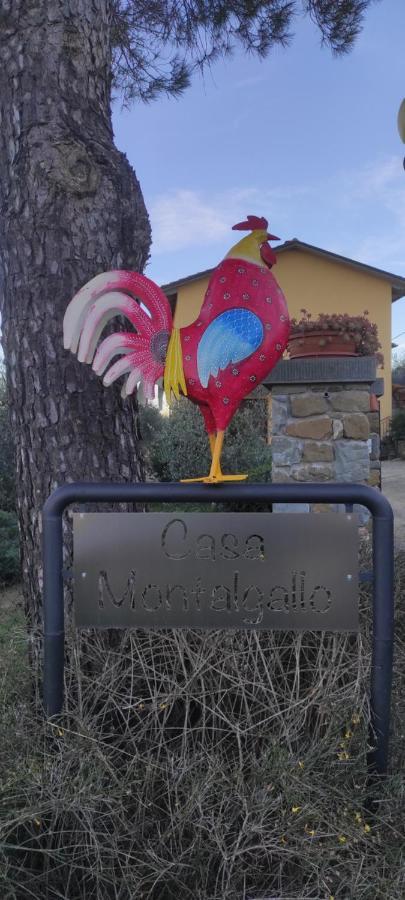 Casa Montalgallo Lucignano Kültér fotó
